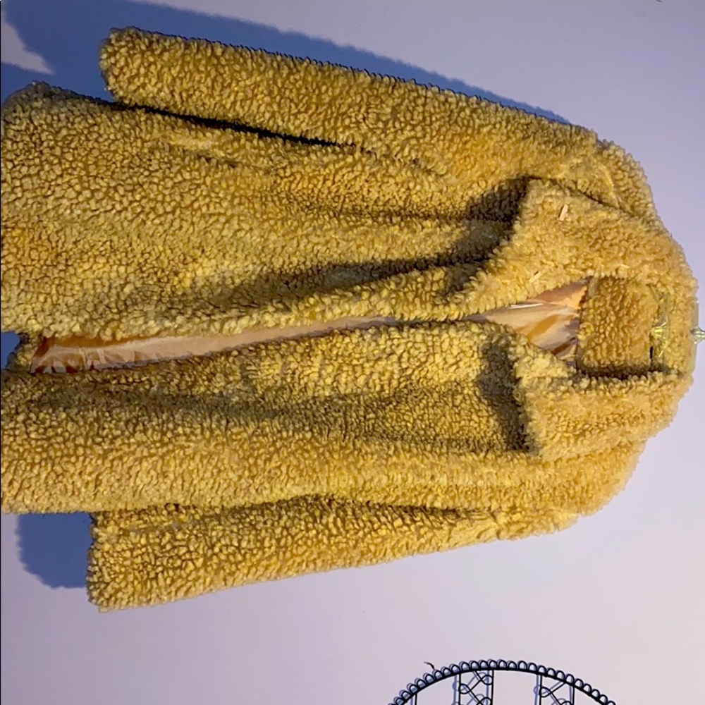 Long Fuzzy Coat